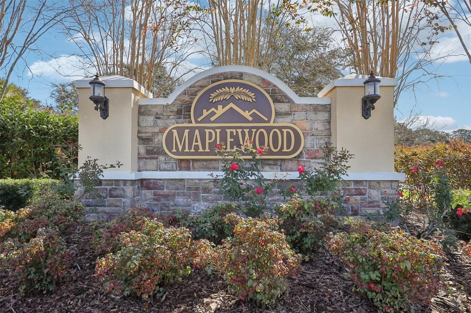12416 NE 48TH LOOP, OXFORD, FL — photo 39