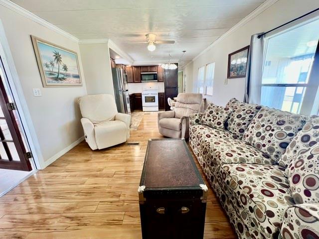 10818 FREEDOM DR, PORT RICHEY, FL — photo 20