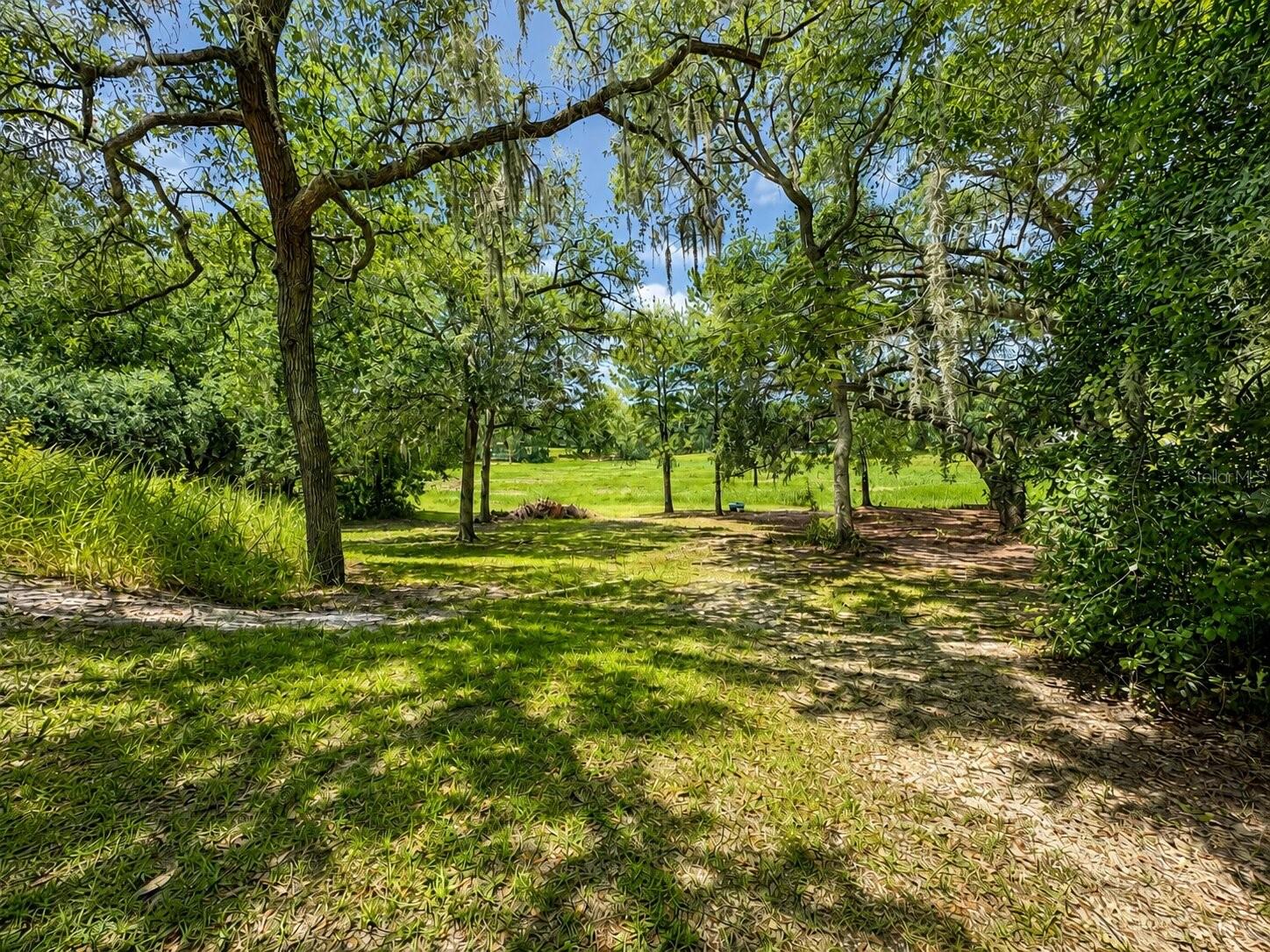16363 SE 5TH ST, SILVER SPRINGS, FL — photo 28