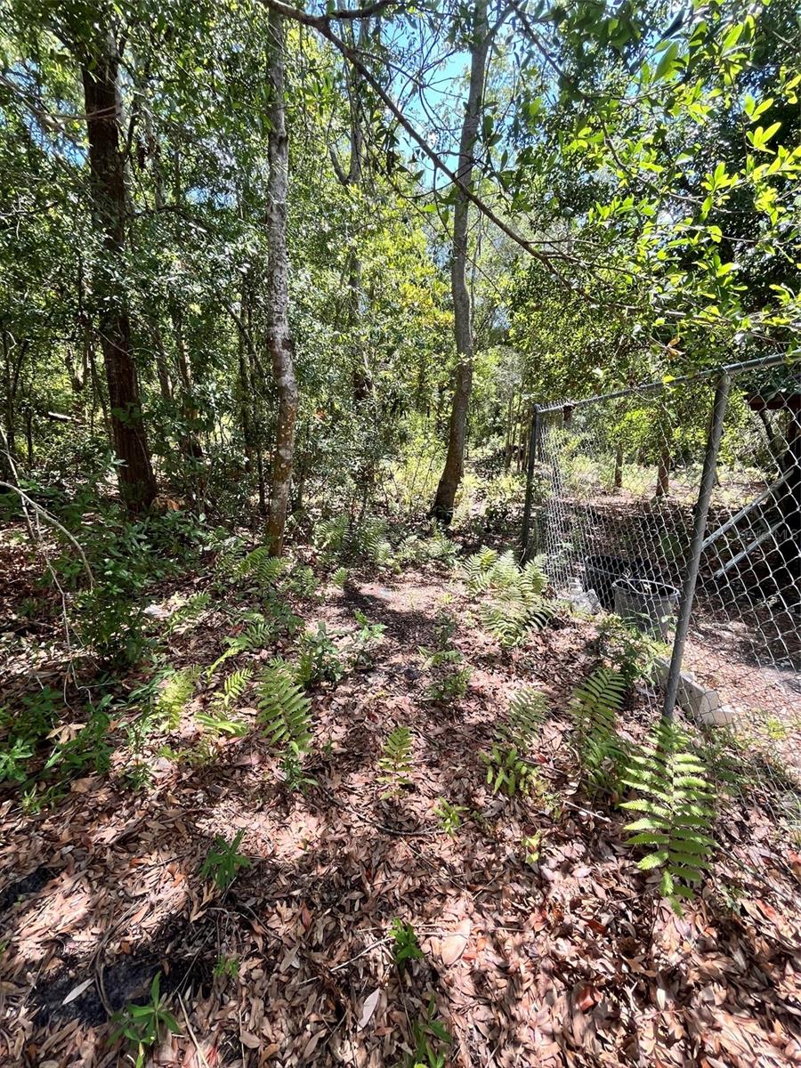 10907 ESTATES DEL SOL DR, RIVERVIEW, FL — photo 2