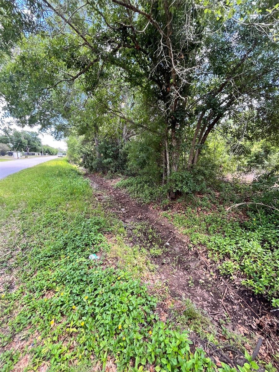 10907 ESTATES DEL SOL DR, RIVERVIEW, FL — photo 4