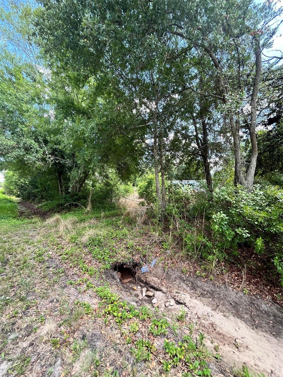 10907 ESTATES DEL SOL DR, RIVERVIEW, FL — photo 5