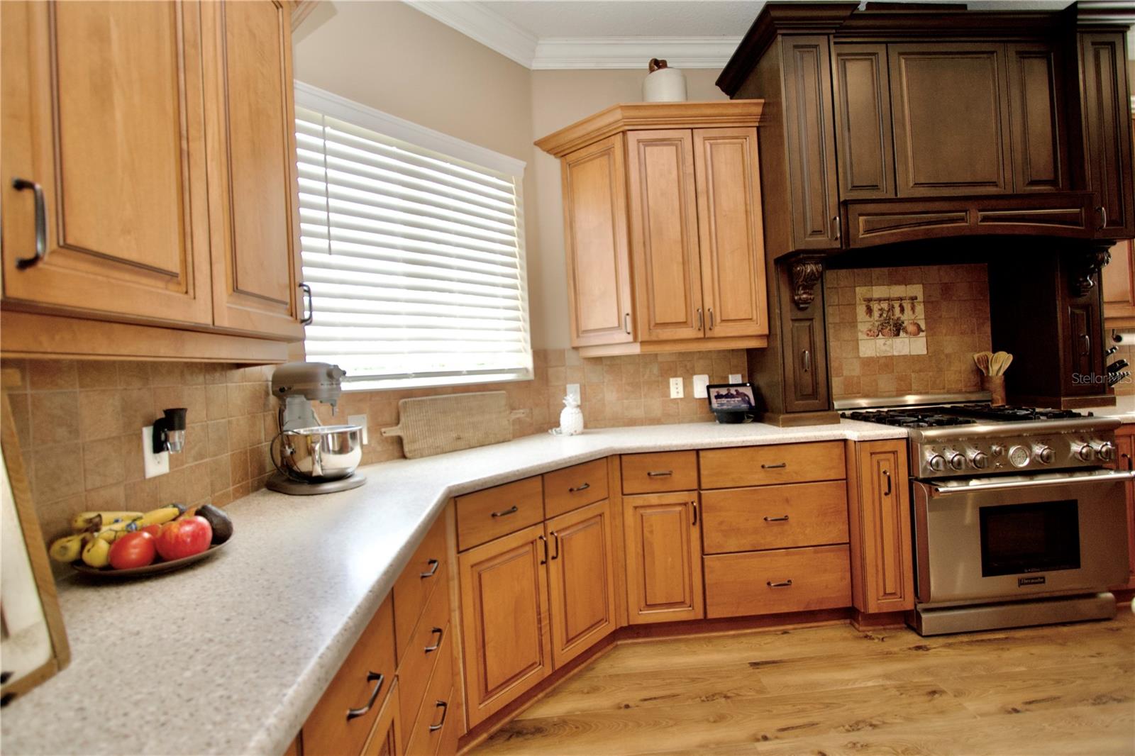32112 JACK RUSSELL CT, DADE CITY, FL — photo 19