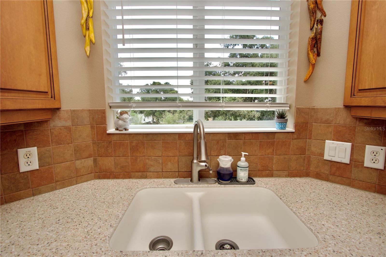 32112 JACK RUSSELL CT, DADE CITY, FL — photo 21