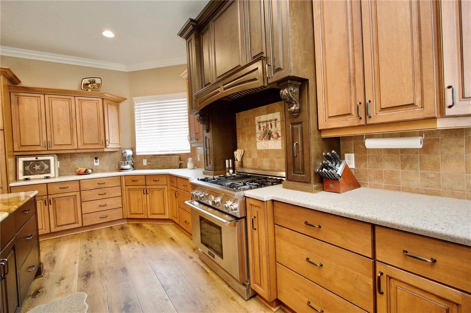32112 JACK RUSSELL CT, DADE CITY, FL — photo 23