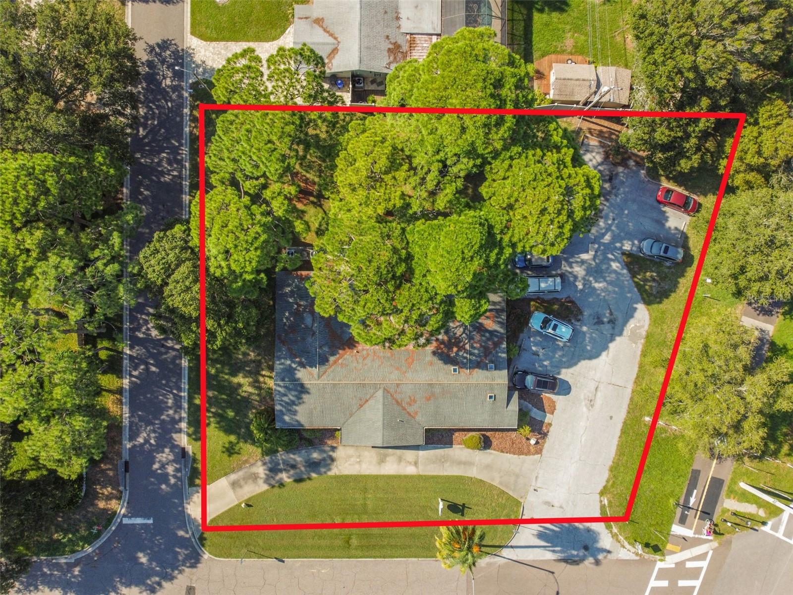 605 PALM BLVD, DUNEDIN, FL — photo 5