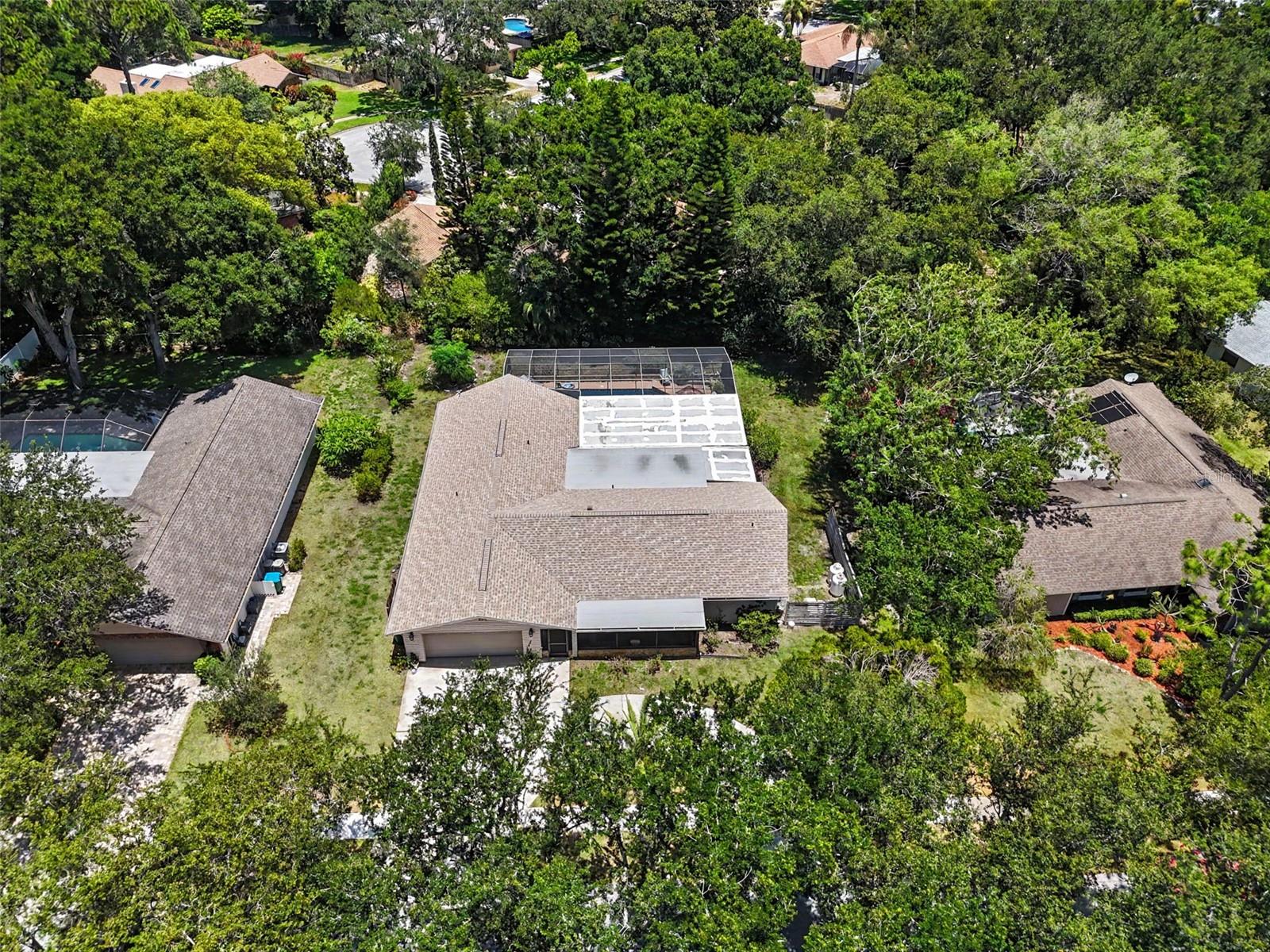 165 WOODCUTTER LN, PALM HARBOR, FL — photo 5