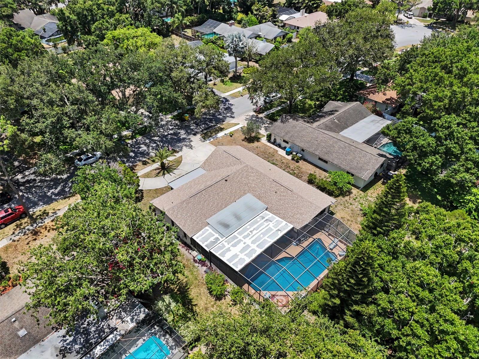 165 WOODCUTTER LN, PALM HARBOR, FL — photo 7