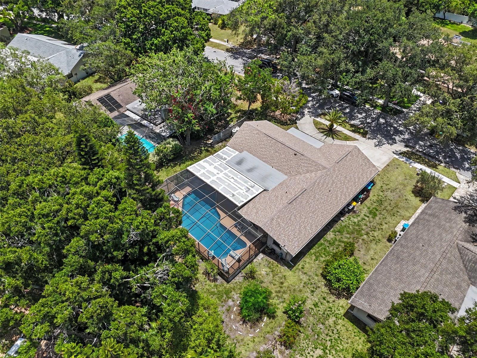165 WOODCUTTER LN, PALM HARBOR, FL — photo 8