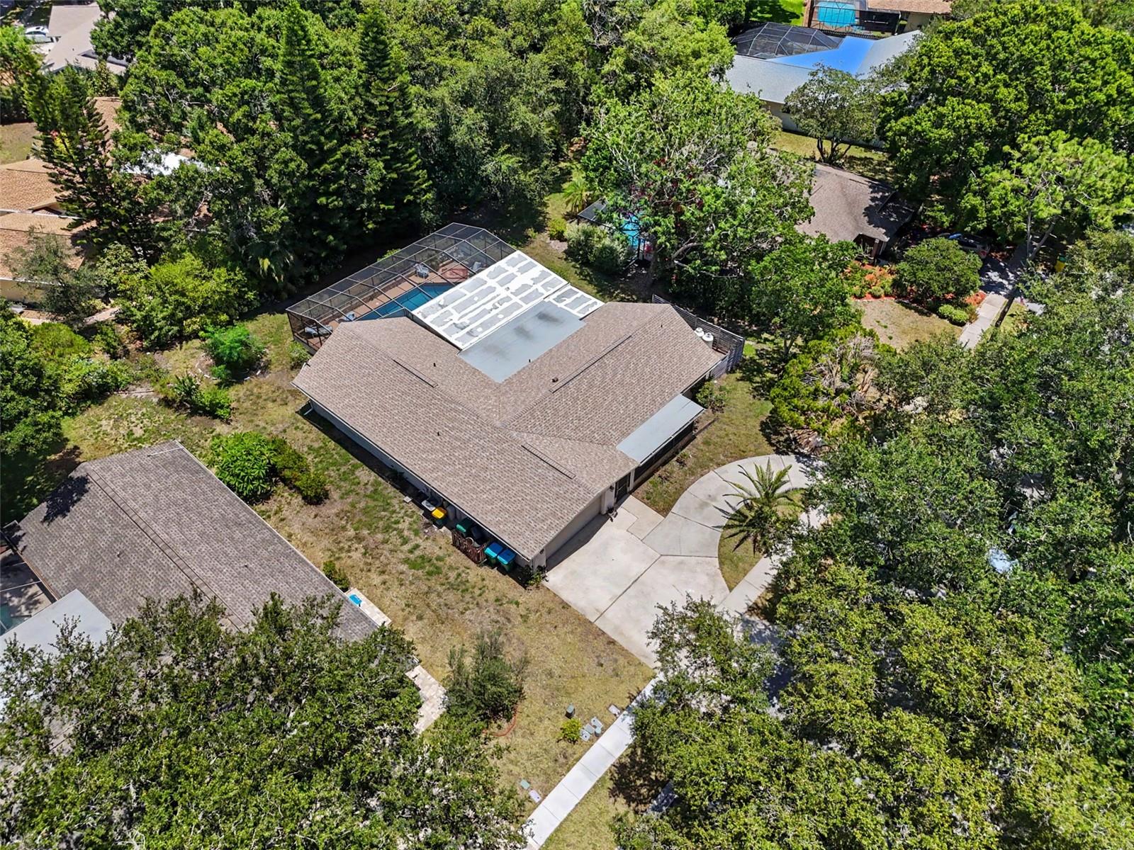 165 WOODCUTTER LN, PALM HARBOR, FL — photo 9