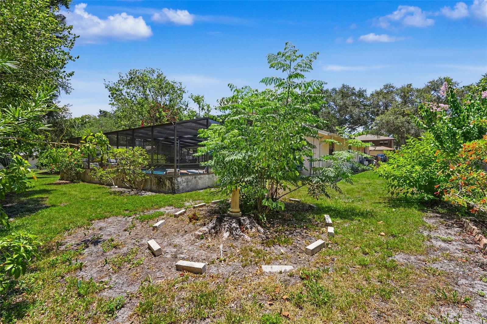 165 WOODCUTTER LN, PALM HARBOR, FL — photo 45