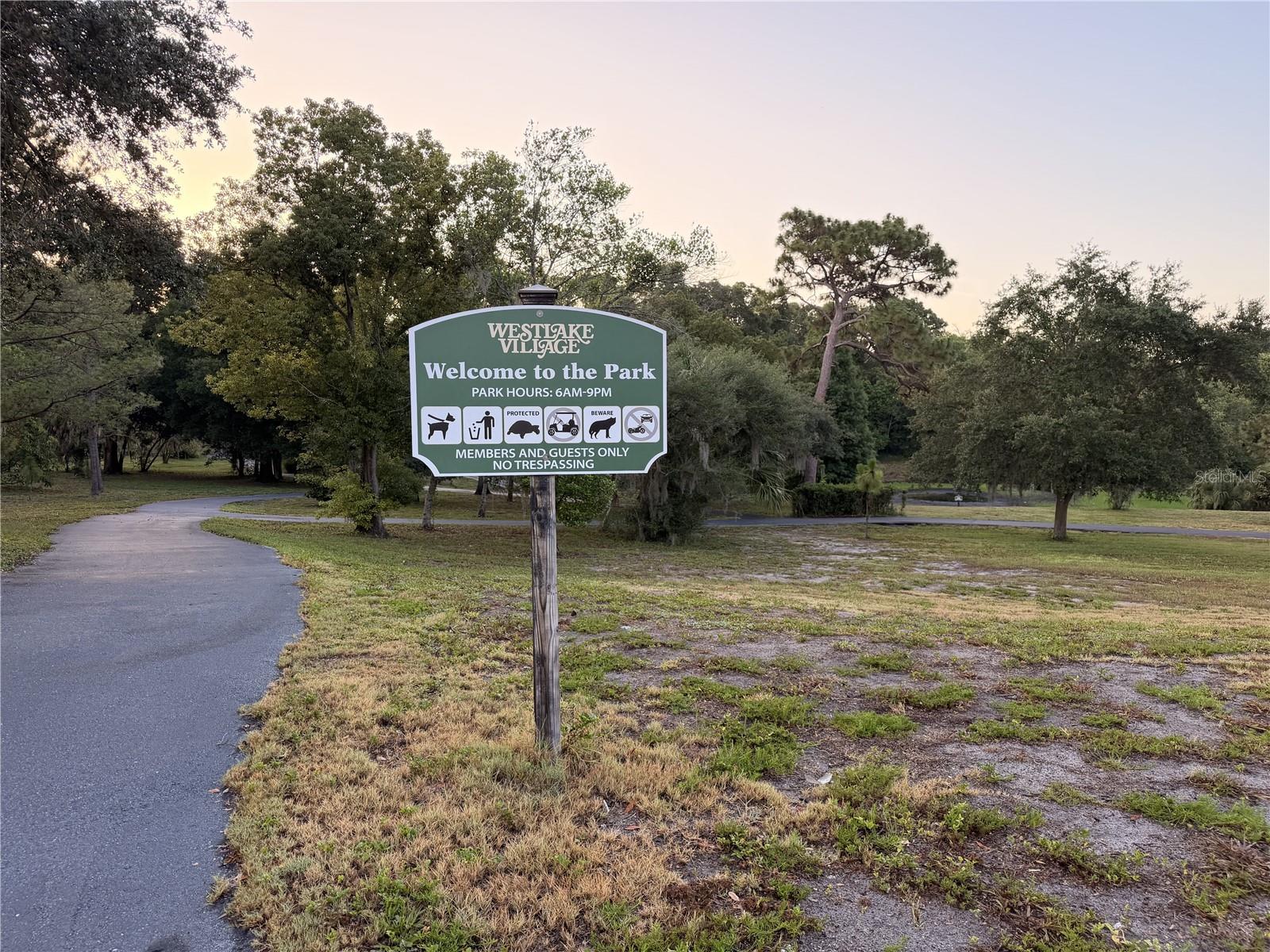165 WOODCUTTER LN, PALM HARBOR, FL — photo 52