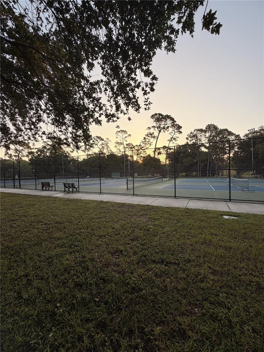 165 WOODCUTTER LN, PALM HARBOR, FL — photo 53