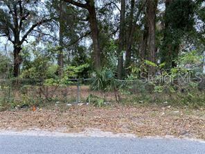 Lot 14 NW 15TH AVE, OCALA, FL — photo 3