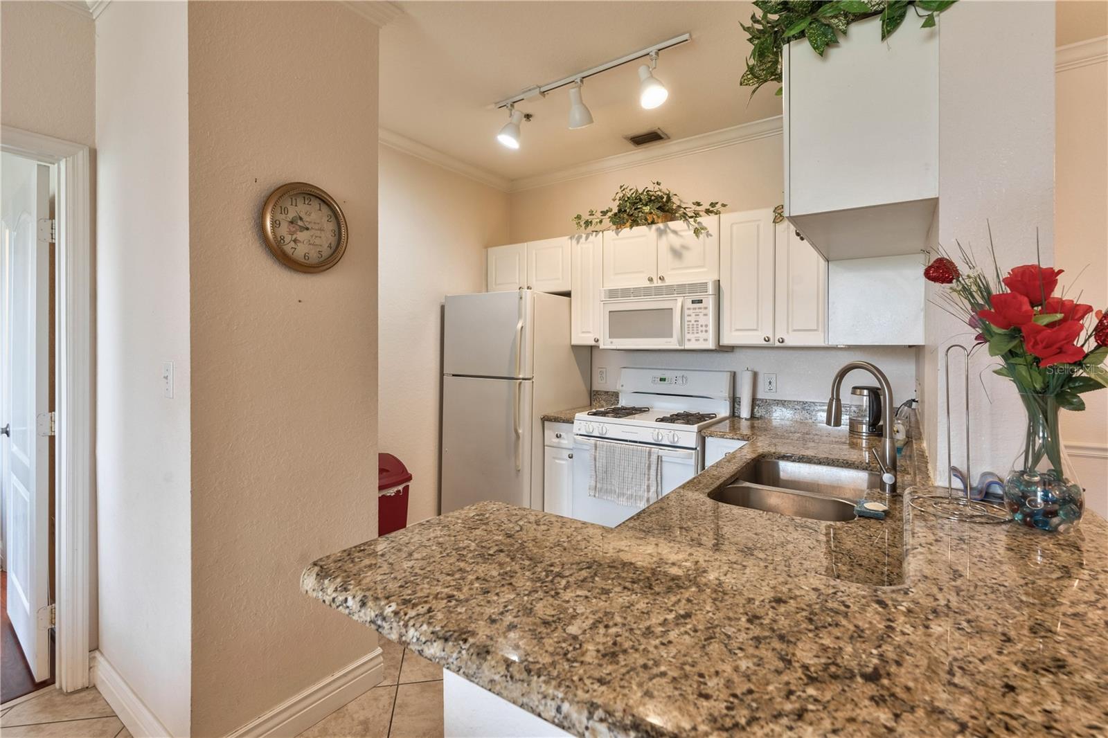 2732 VIA MURANO #526, CLEARWATER, FL — photo 9