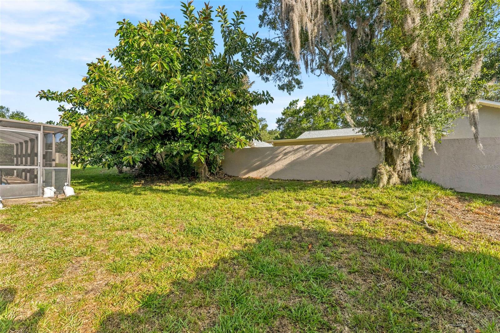 3969 TALAH DR, PALM HARBOR, FL — photo 6