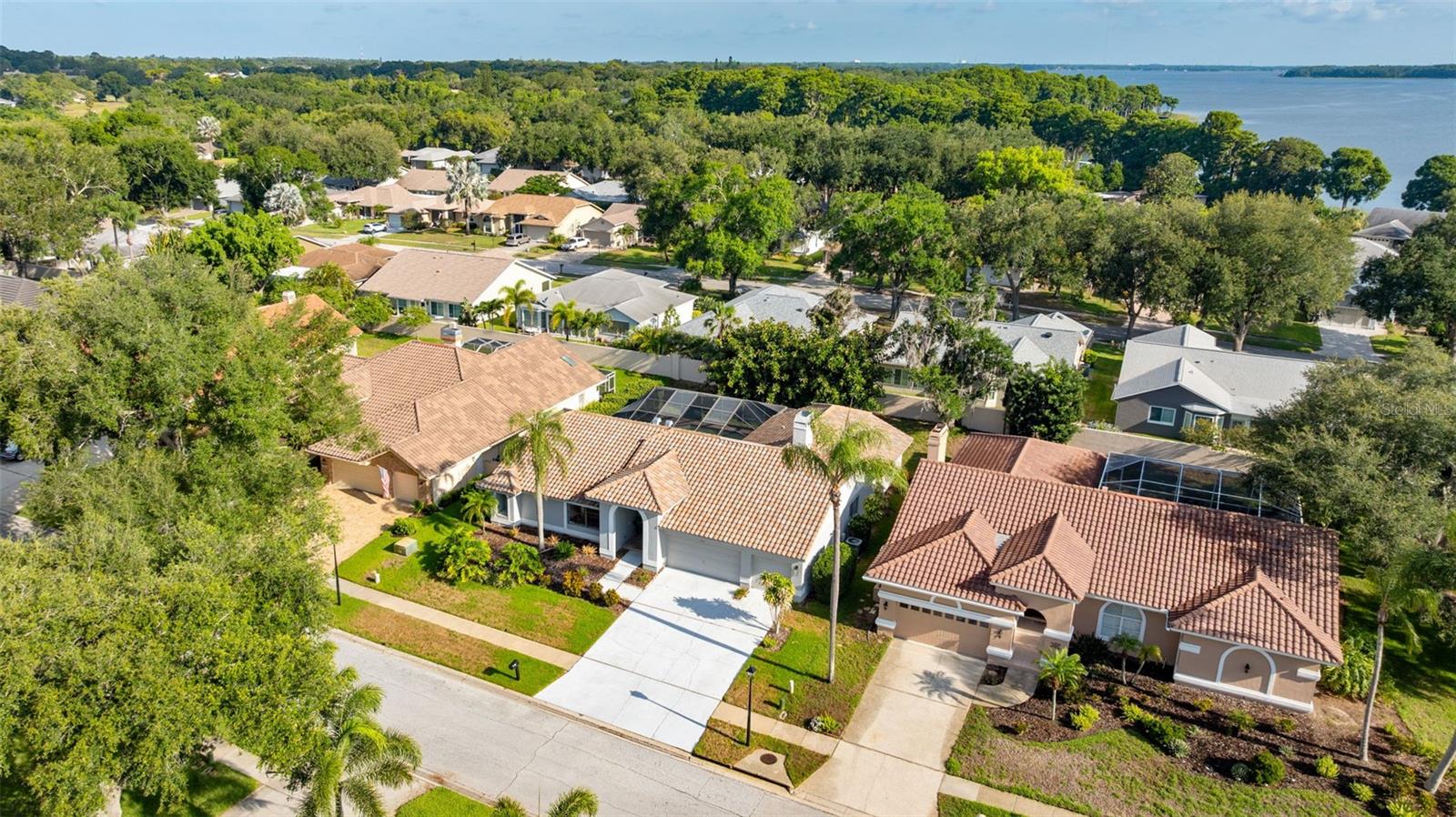 3969 TALAH DR, PALM HARBOR, FL — photo 9