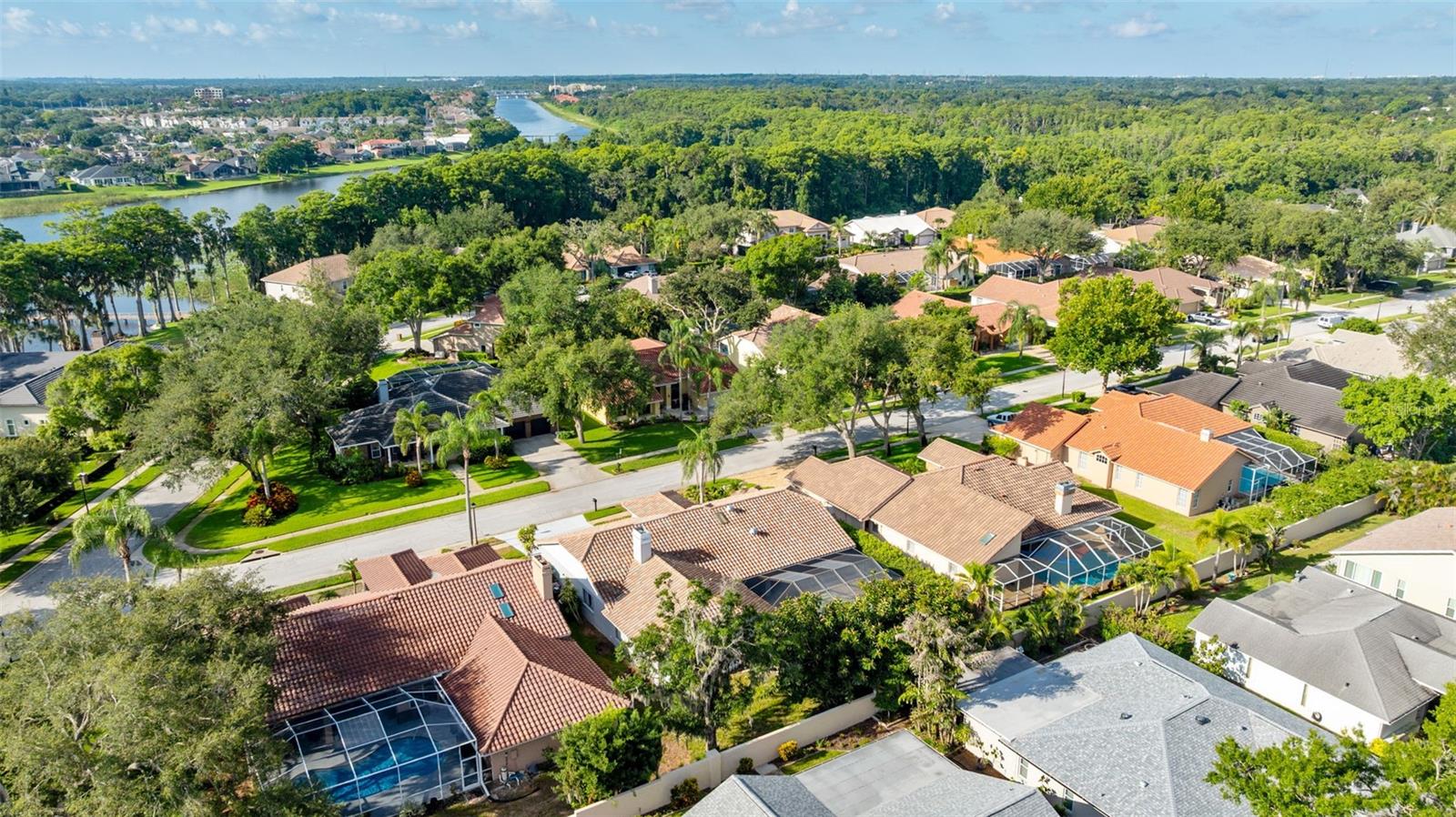 3969 TALAH DR, PALM HARBOR, FL — photo 11