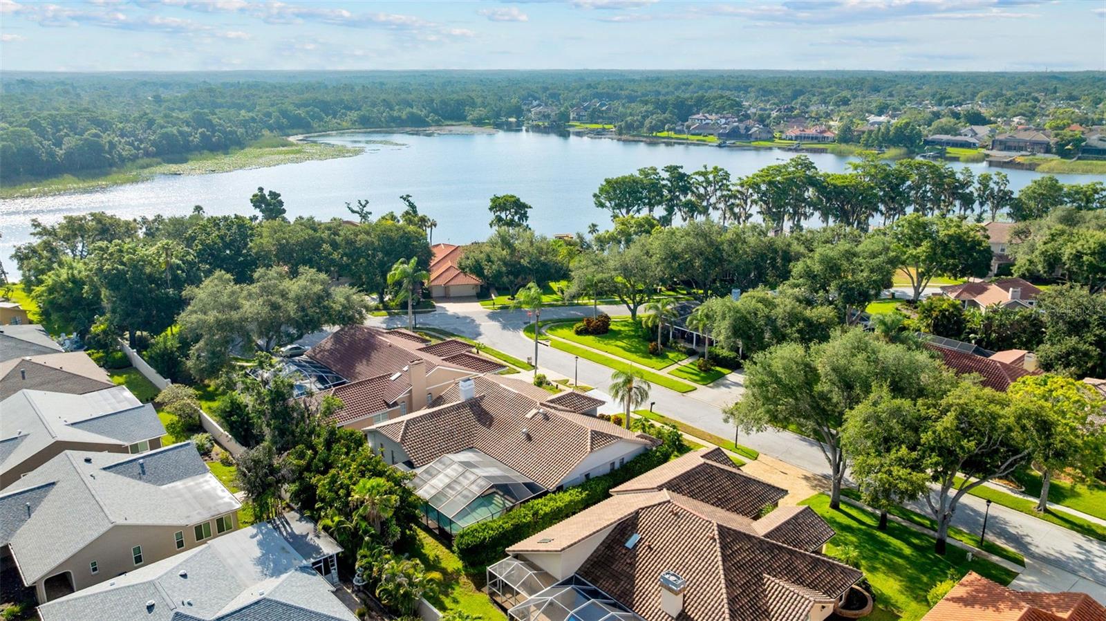 3969 TALAH DR, PALM HARBOR, FL — photo 12