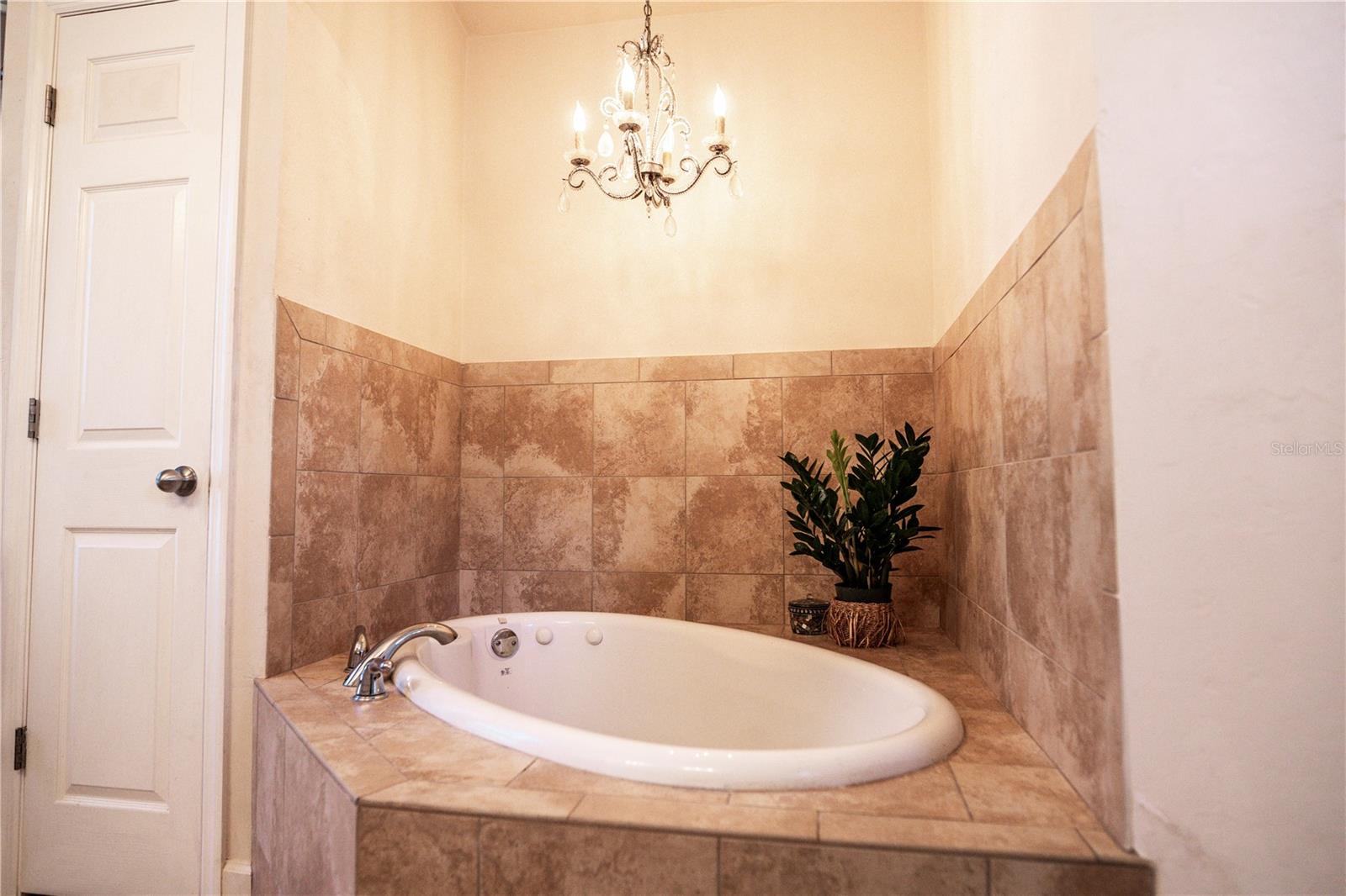 11774 NW 60TH DR, ALACHUA, FL — photo 12