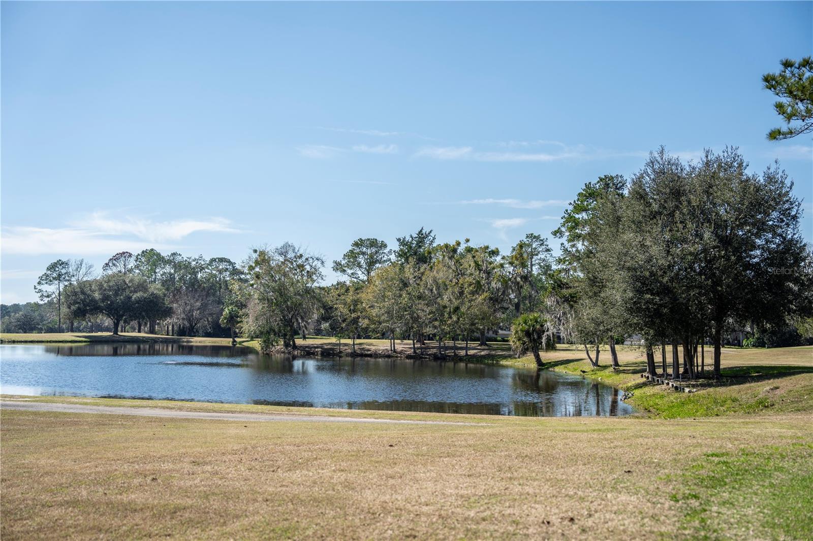 11774 NW 60TH DR, ALACHUA, FL — photo 25