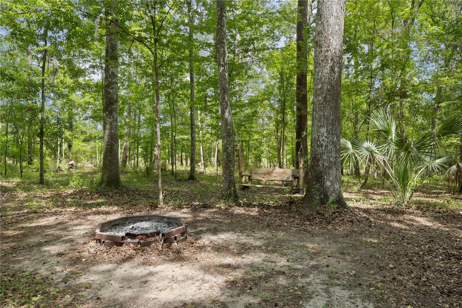 18451 NW 141ST AVE, WILLISTON, FL — photo 42