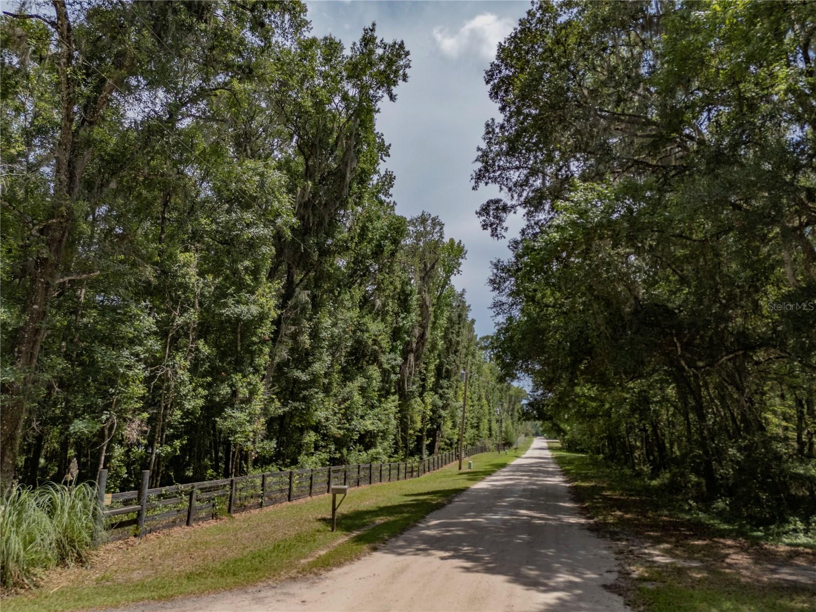 18451 NW 141ST AVE, WILLISTON, FL — photo 48