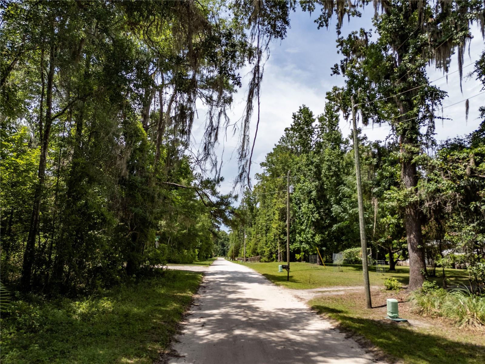 18451 NW 141ST AVE, WILLISTON, FL — photo 49