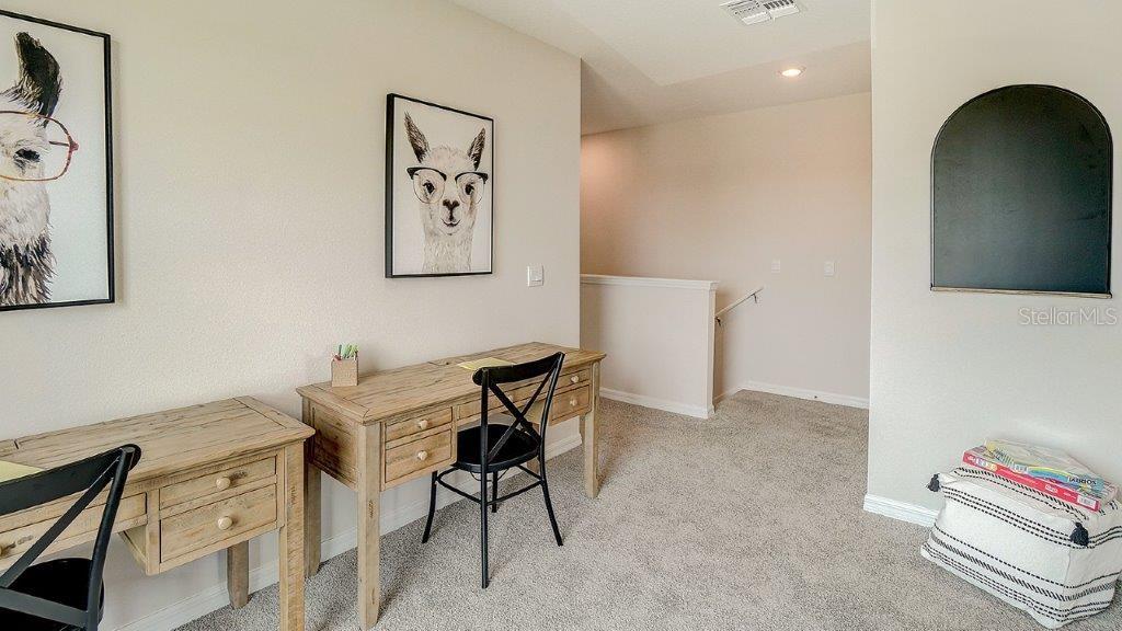 31243 PAPER BIRCH ST, WESLEY CHAPEL, FL — photo 10