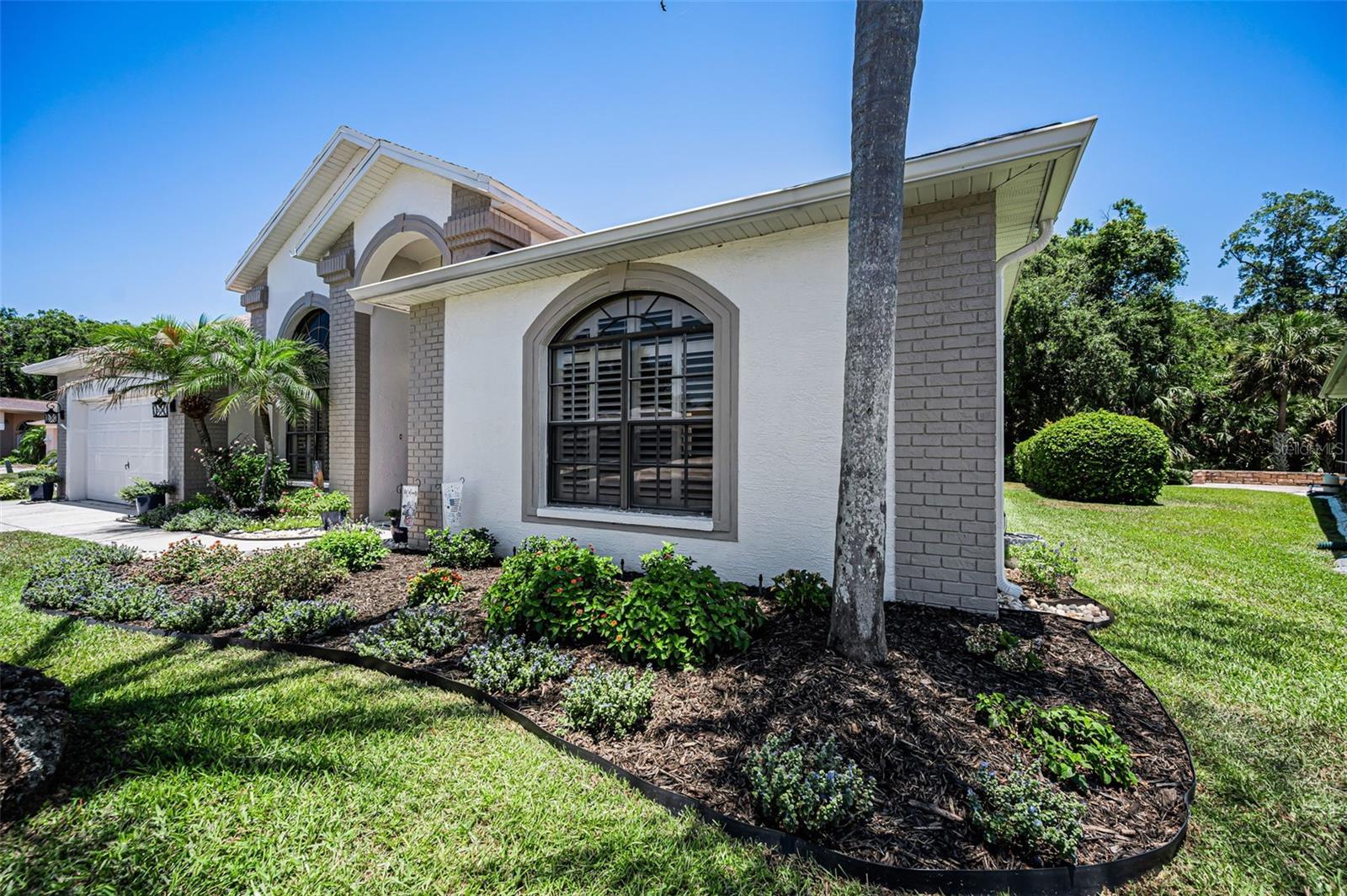 6646 GARDEN PALM CT, NEW PORT RICHEY, FL — photo 8