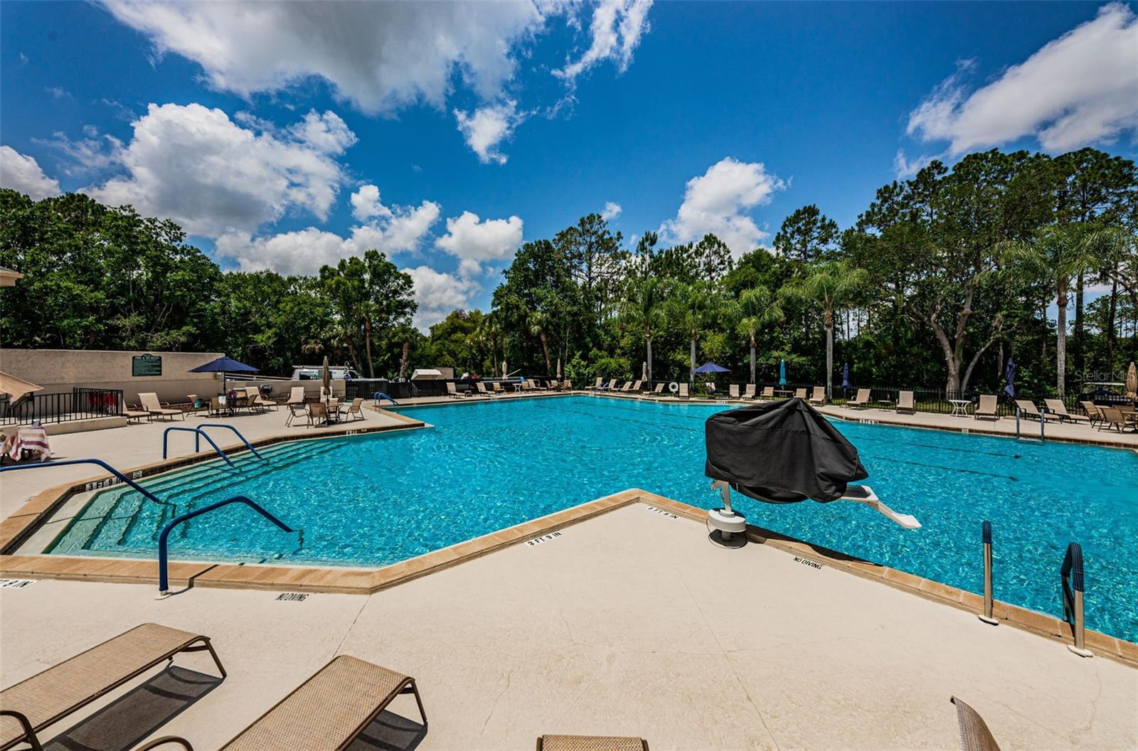 6646 GARDEN PALM CT, NEW PORT RICHEY, FL — photo 65