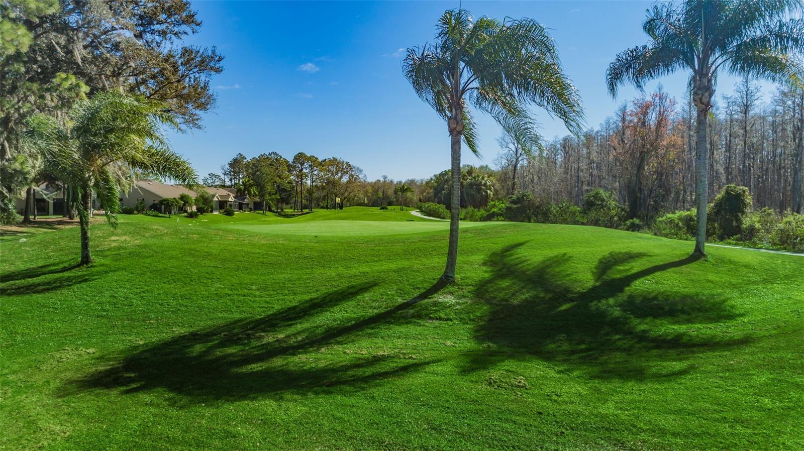 6646 GARDEN PALM CT, NEW PORT RICHEY, FL — photo 79