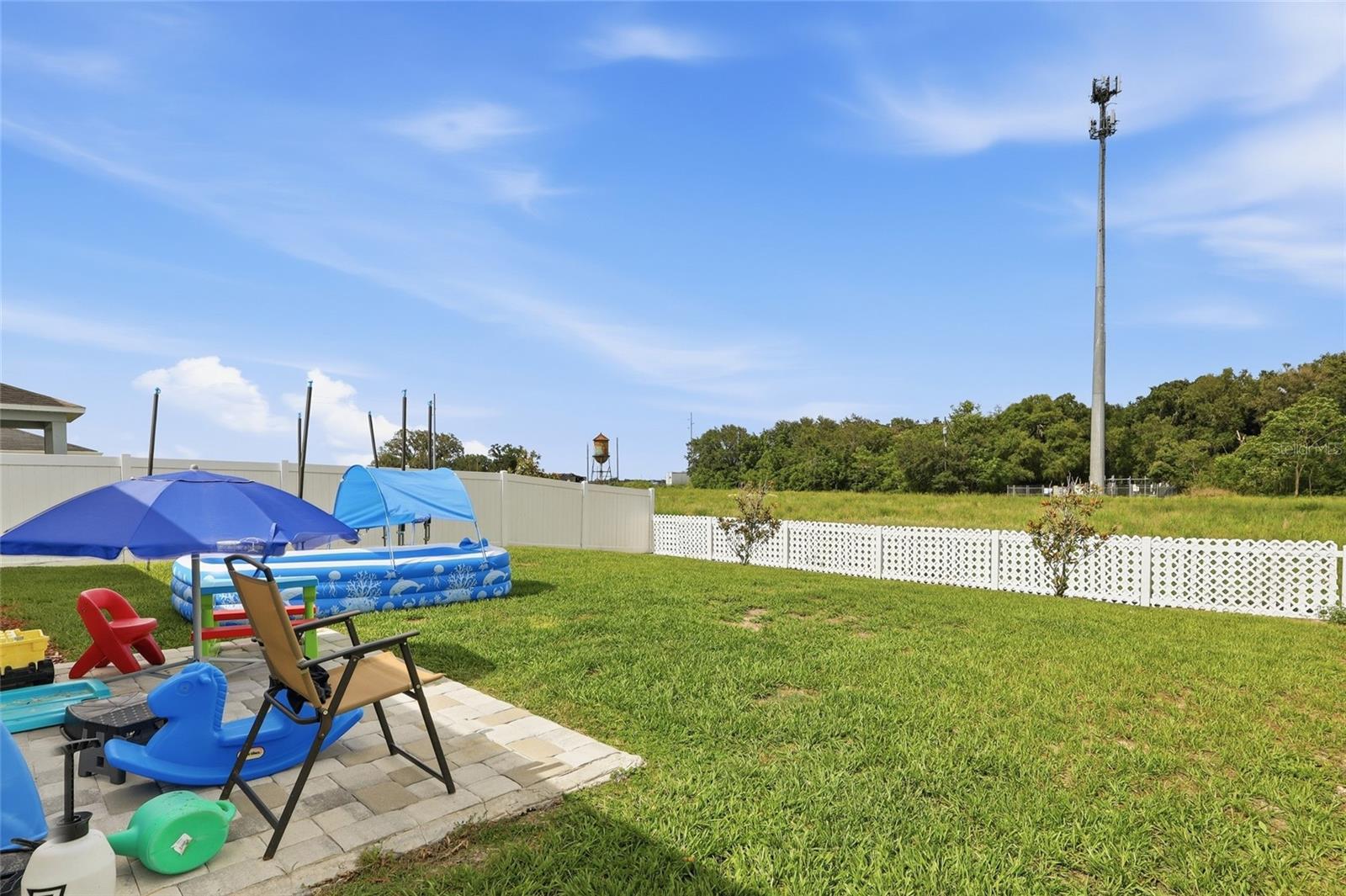 1341 MATTIE POINTE BLVD, AUBURNDALE, FL — photo 18