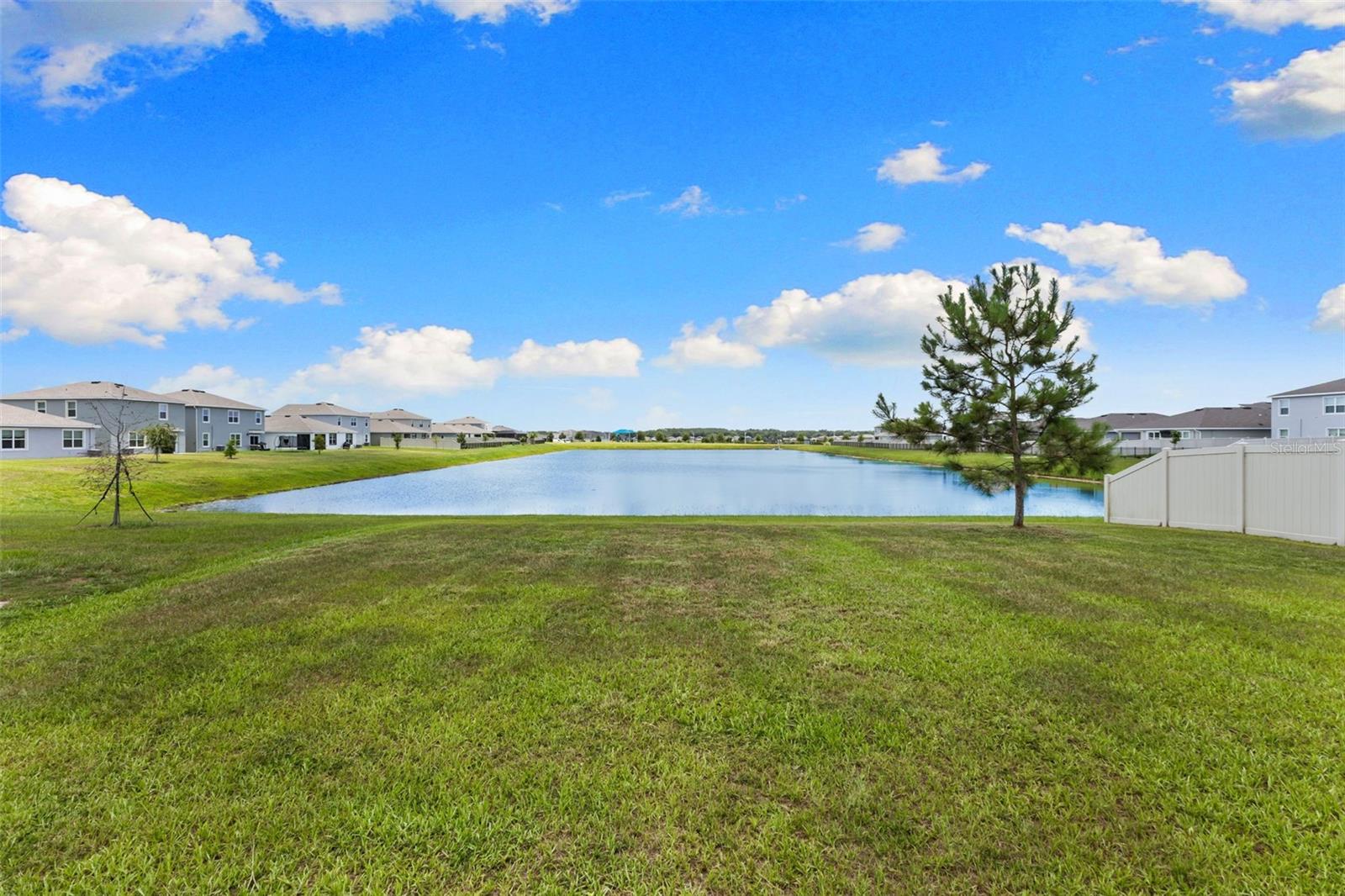 9728 CRESCENT RAY DR, WESLEY CHAPEL, FL — photo 58