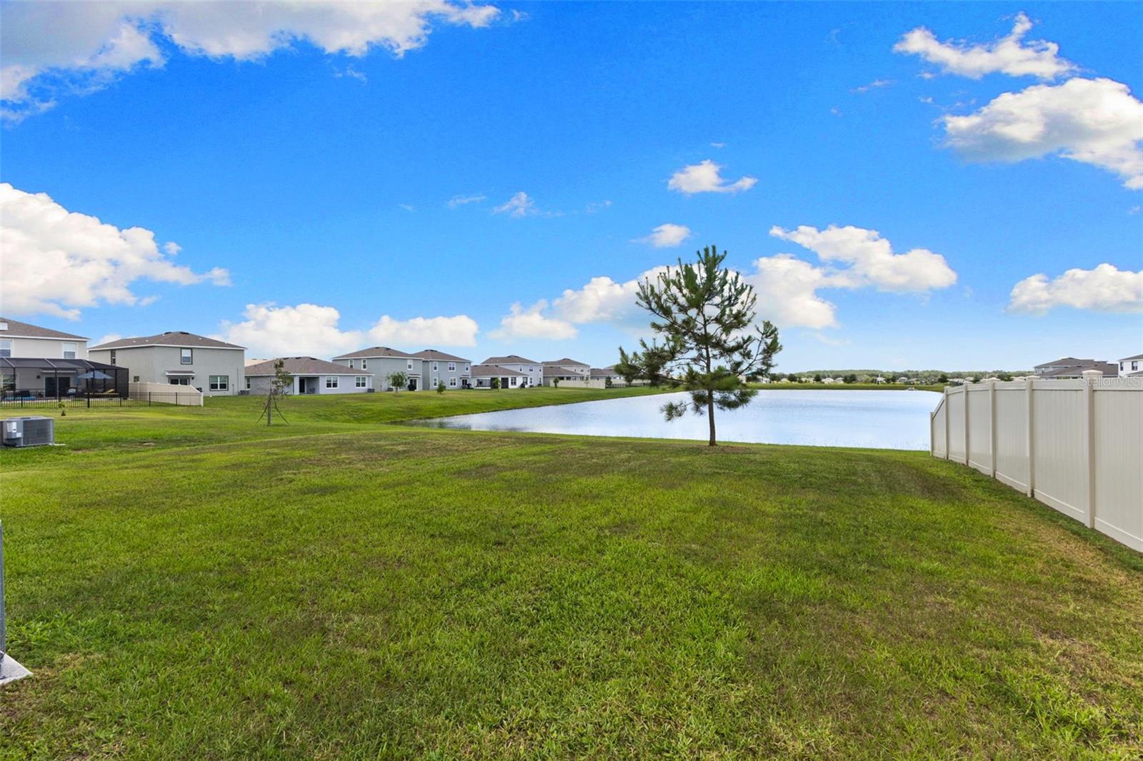 9728 CRESCENT RAY DR, WESLEY CHAPEL, FL — photo 59