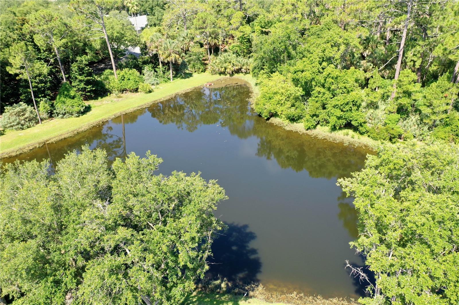 15 TANGLEWOOD CT, PALM COAST, FL — photo 38