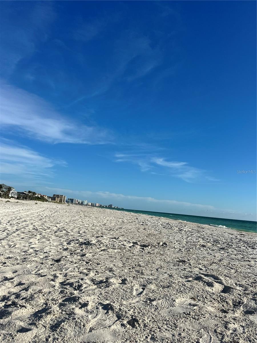 880 MANDALAY AVE #309, CLEARWATER, FL — photo 48