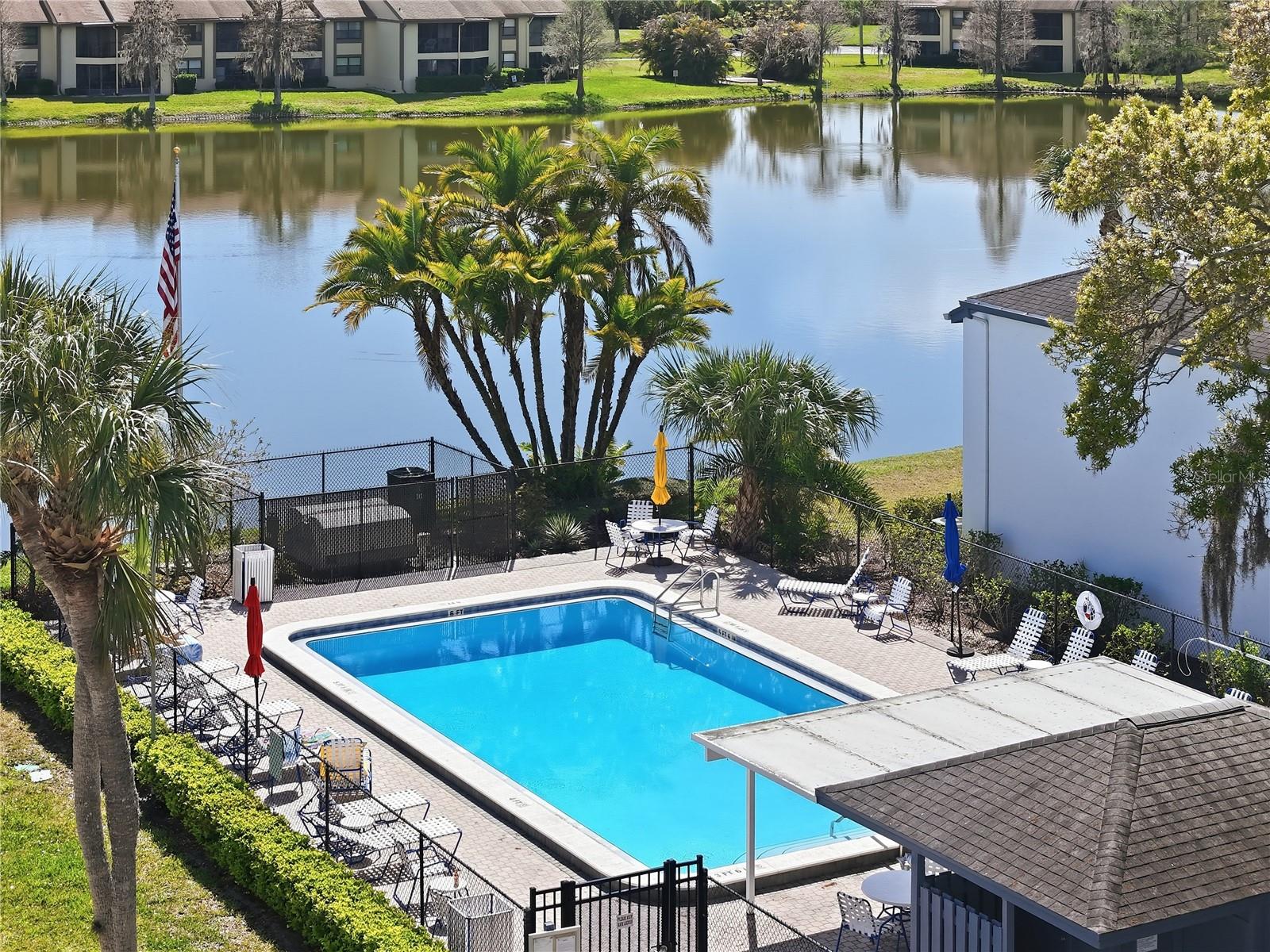 240 CYPRESS LN #240, OLDSMAR, FL — photo 5
