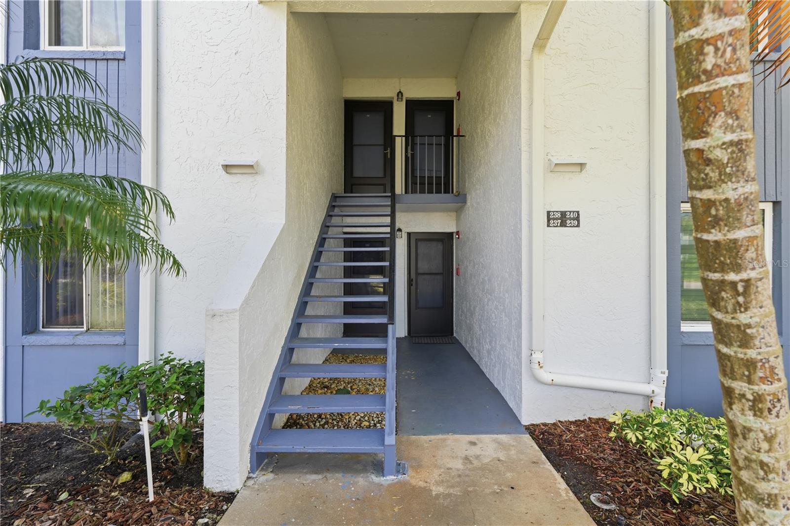 240 CYPRESS LN #240, OLDSMAR, FL — photo 29