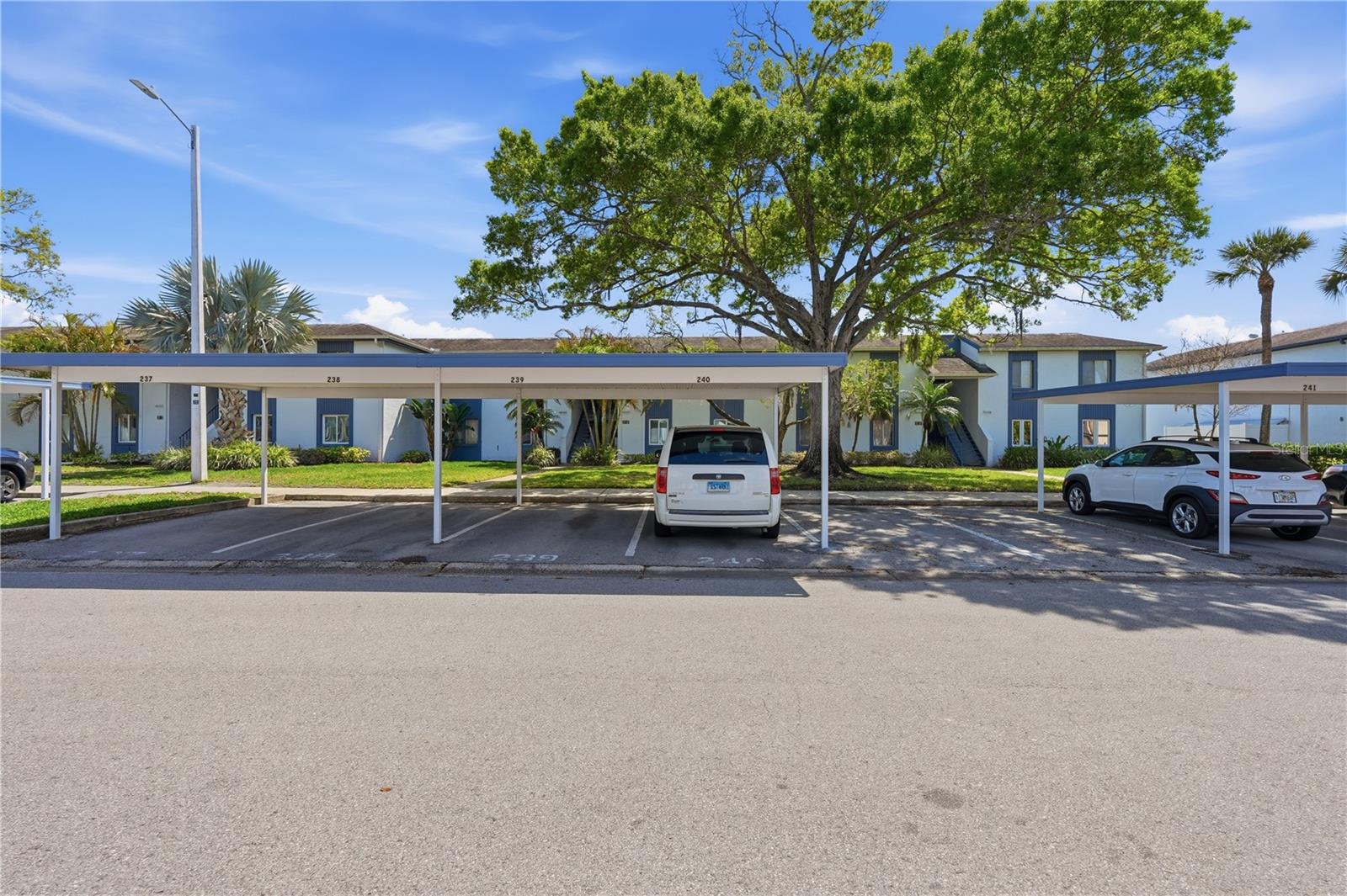 240 CYPRESS LN #240, OLDSMAR, FL — photo 30