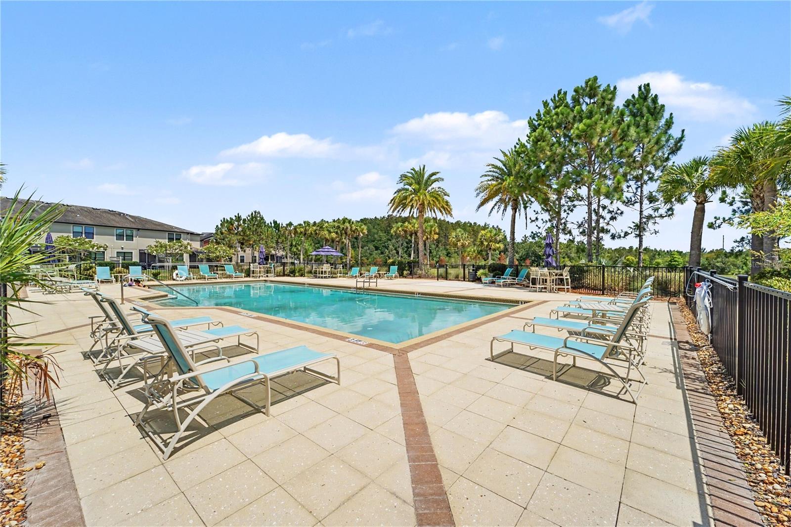 30340 SOUTHWELL PL, WESLEY CHAPEL, FL — photo 24
