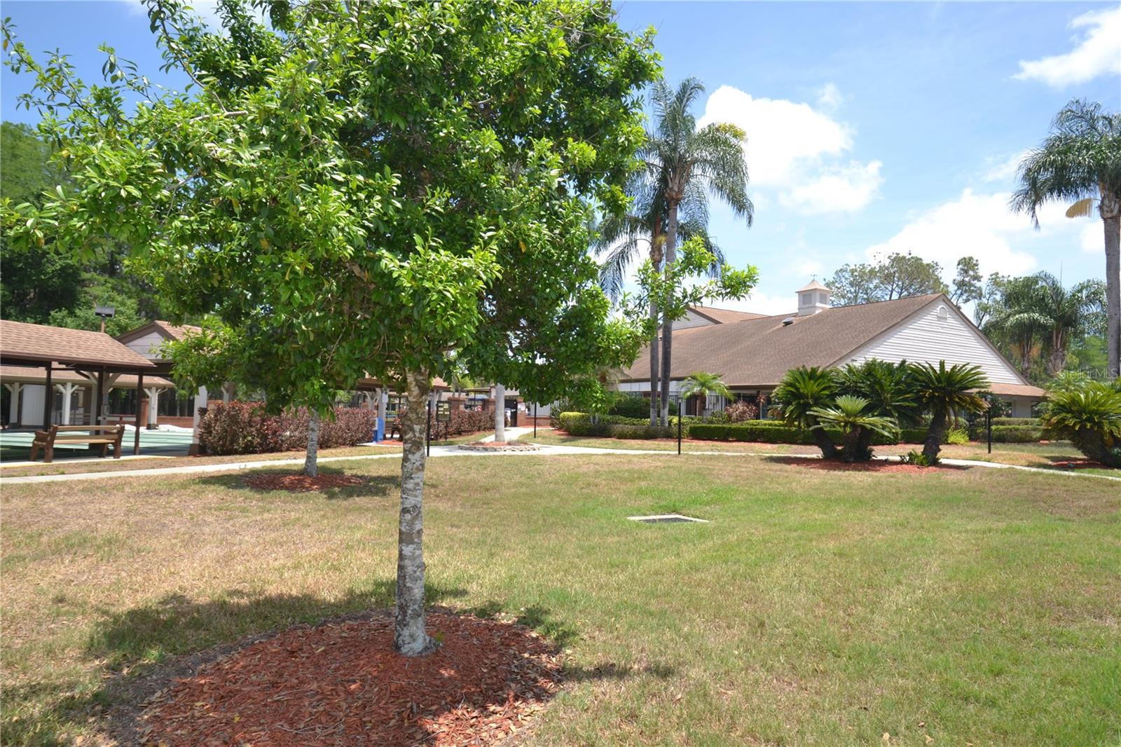 9026 SEVERN LN, NEW PORT RICHEY, FL — photo 49