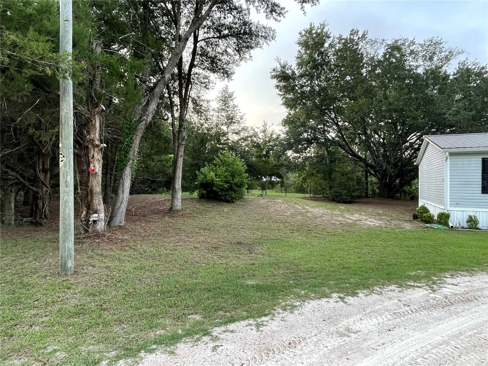 8890 SE 66TH CIR, TRENTON, FL — photo 5