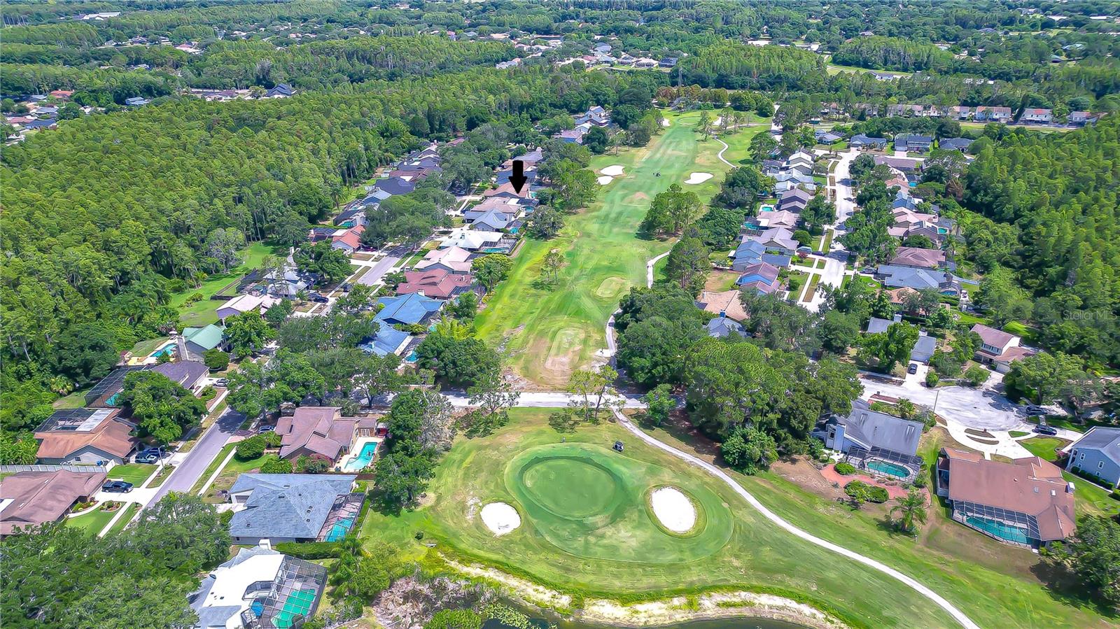 16605 E COURSE DR, TAMPA, FL — photo 5