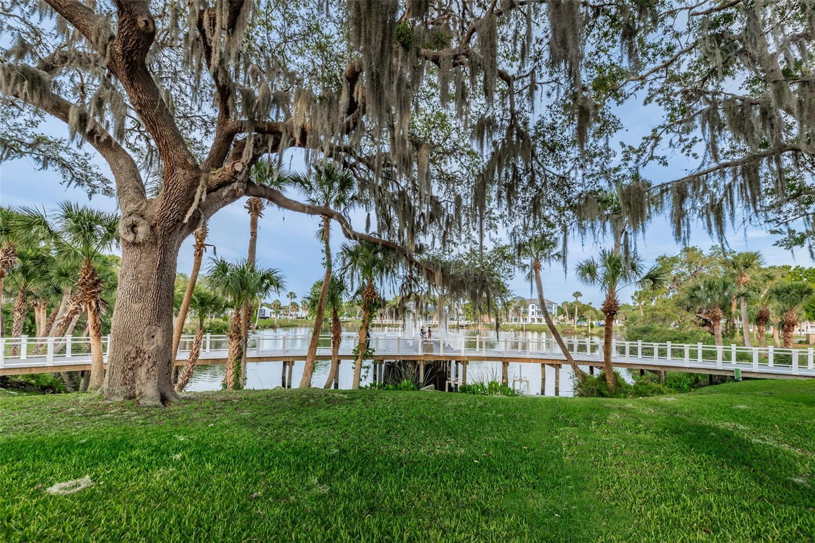 5964 CENTRAL AVE, NEW PORT RICHEY, FL — photo 41