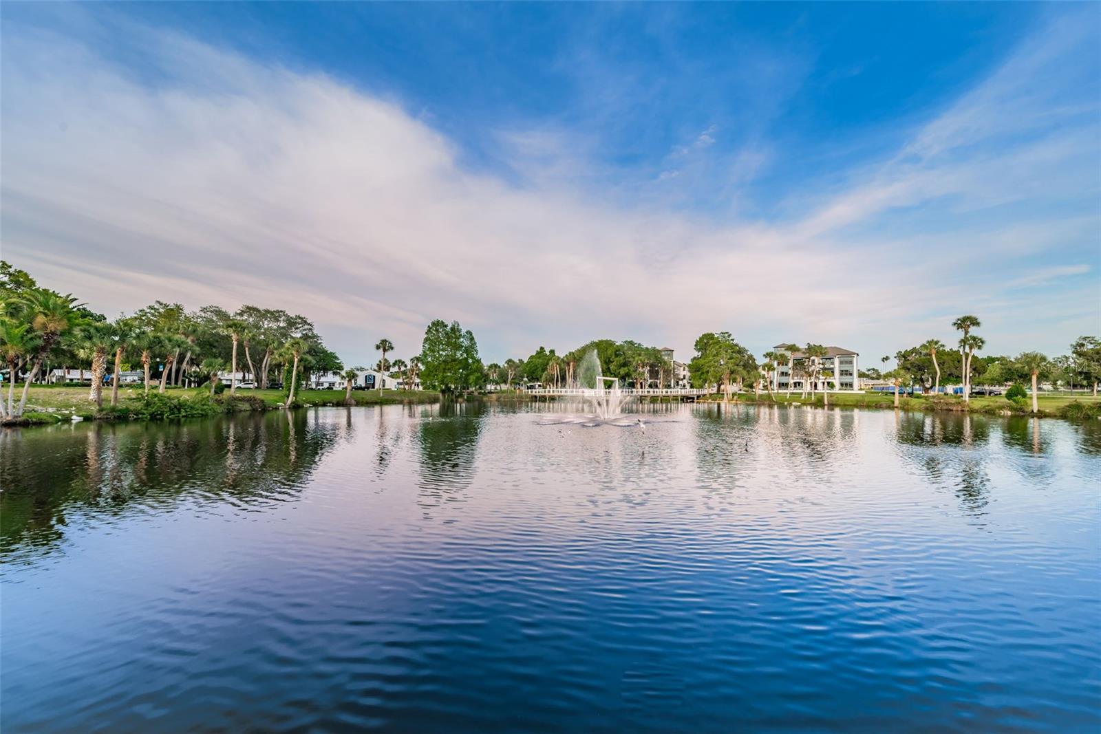 5964 CENTRAL AVE, NEW PORT RICHEY, FL — photo 43