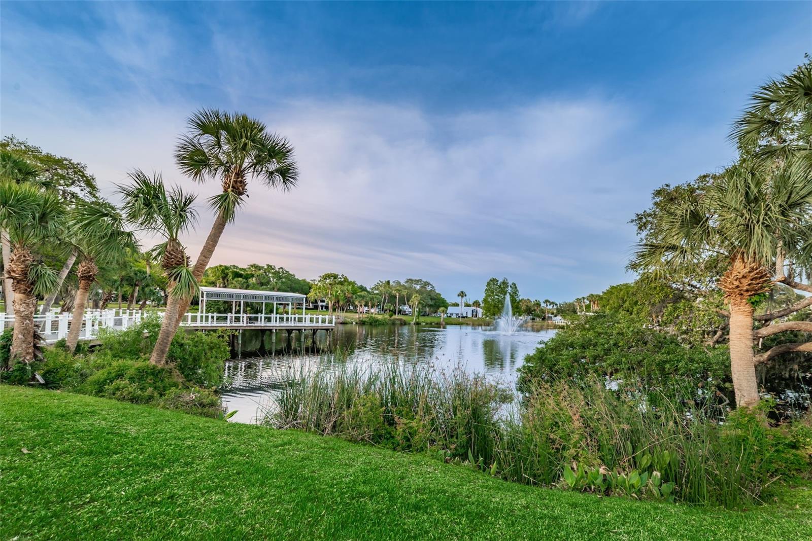 5964 CENTRAL AVE, NEW PORT RICHEY, FL — photo 45