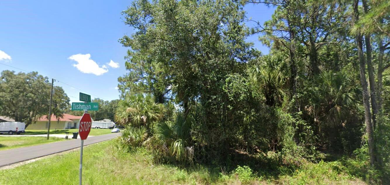0 TISHMAN AVE, NORTH PORT, FL — photo 7