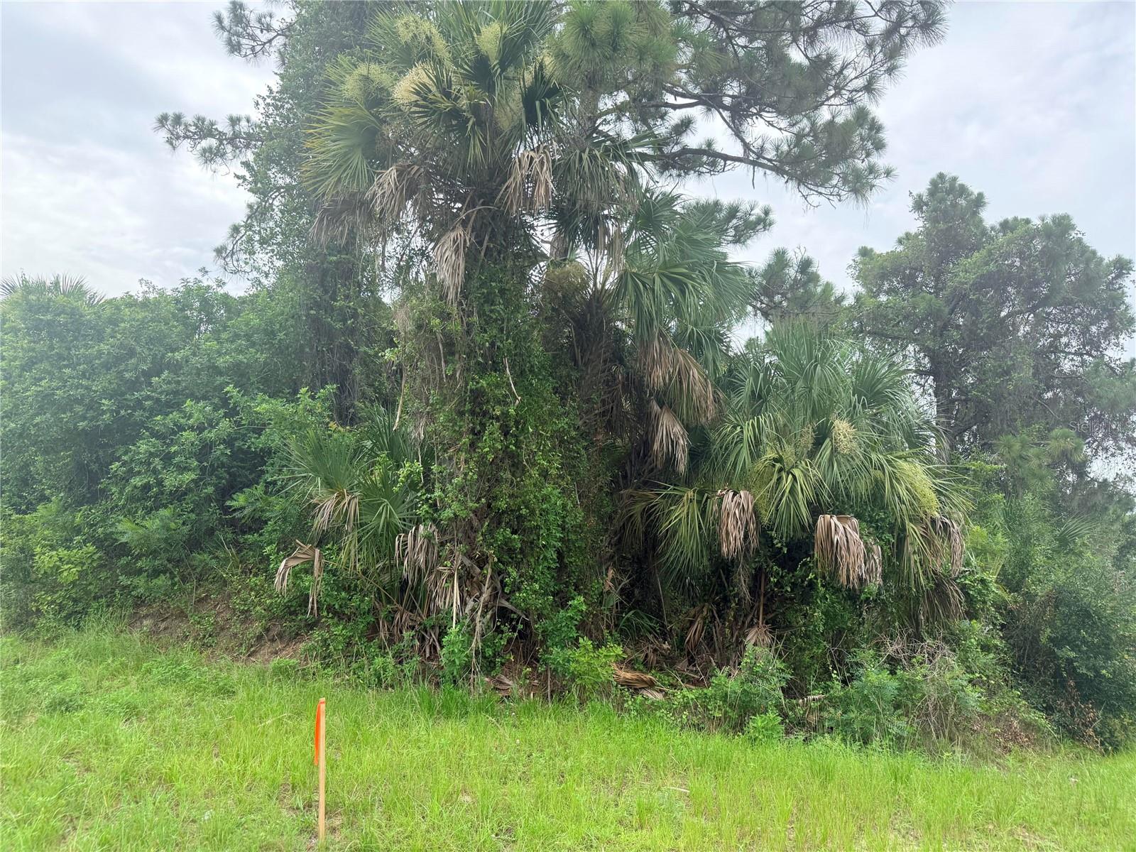 0 TISHMAN AVE, NORTH PORT, FL — photo 10