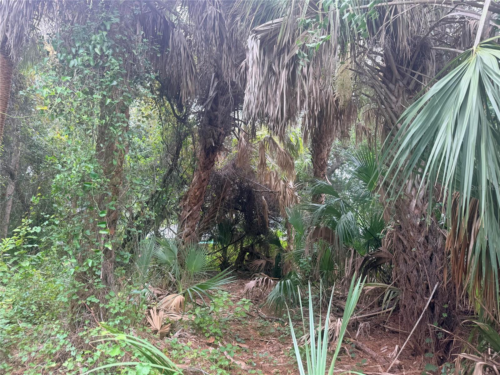 0 TISHMAN AVE, NORTH PORT, FL — photo 11